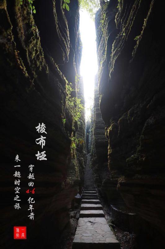 不管脾有病,胃有病