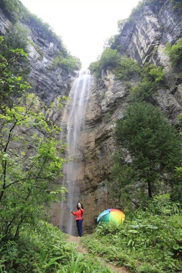 春雨直播app