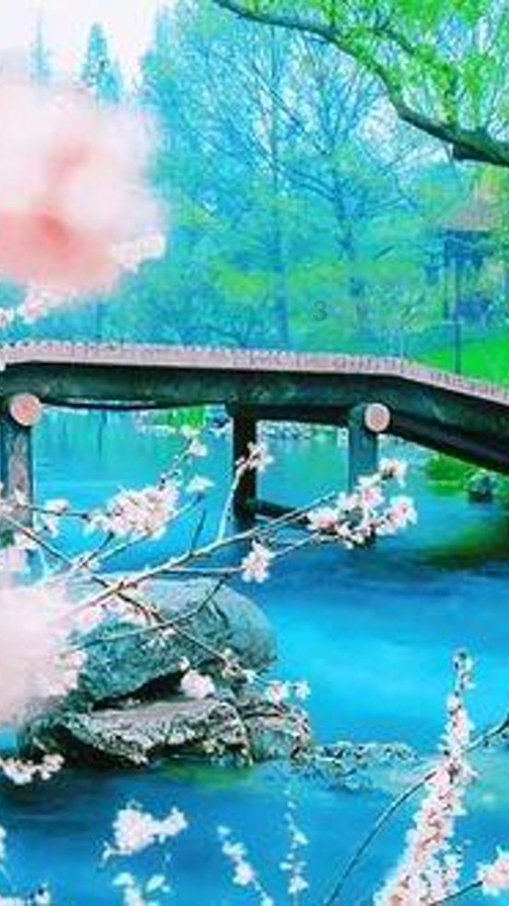 今晚21:25，万物生长，聆听万千乡村的新声